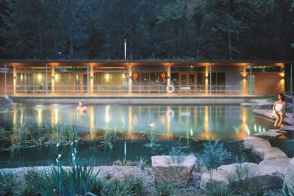Ferienhaus Grande Maison Bi-familiale, Belle Vue, Piscine Fréland