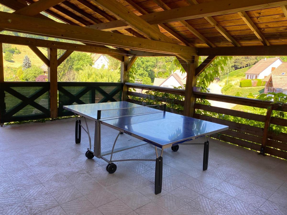 Grande Maison Bi-familiale, Belle Vue, Piscine * Fréland